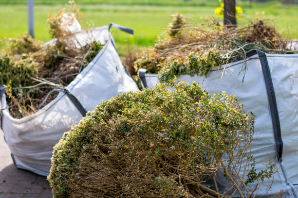 Best Yard Cleanup Services  in Sunray, TX